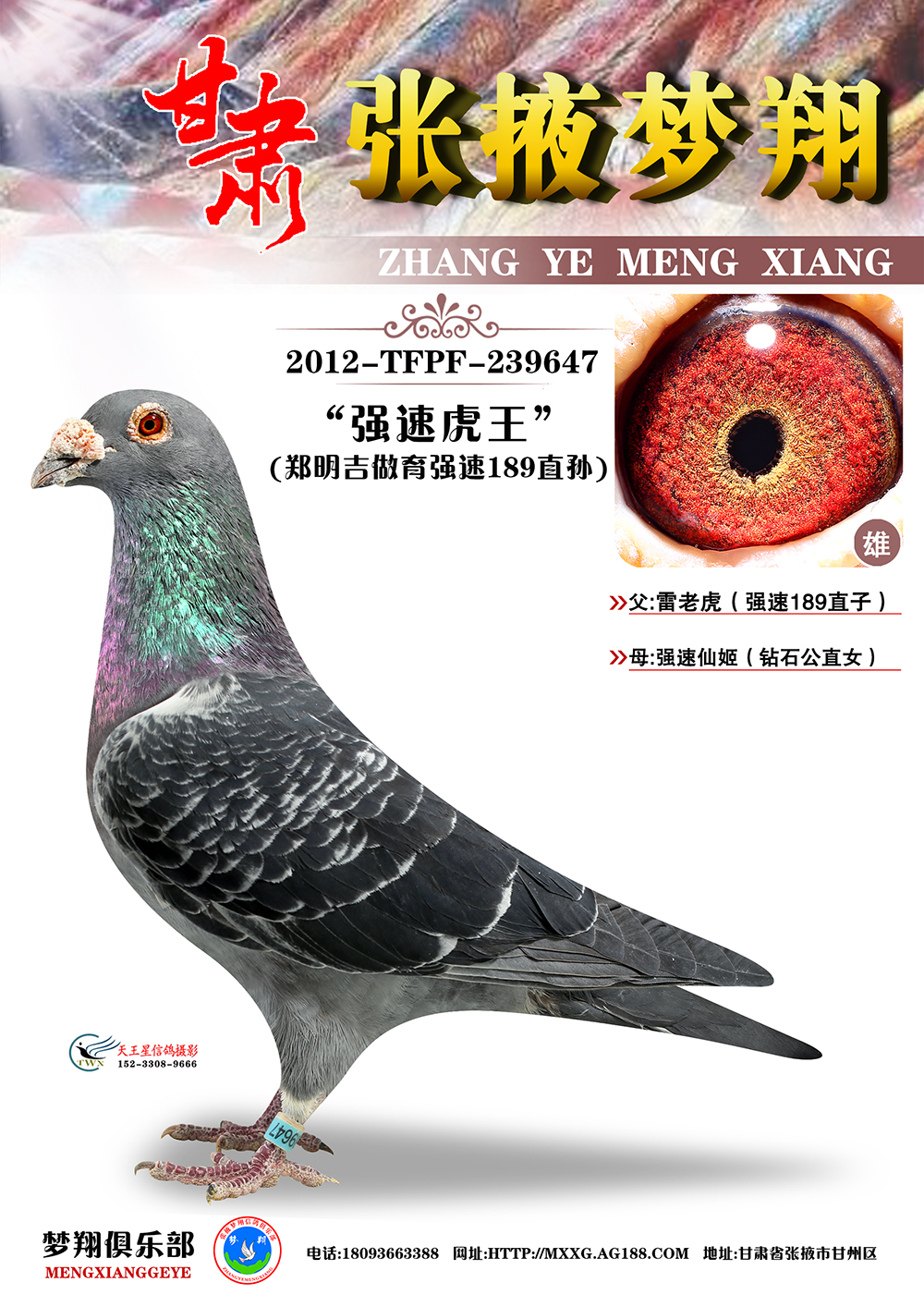 (qing)189ֱO(qing)ٻ
