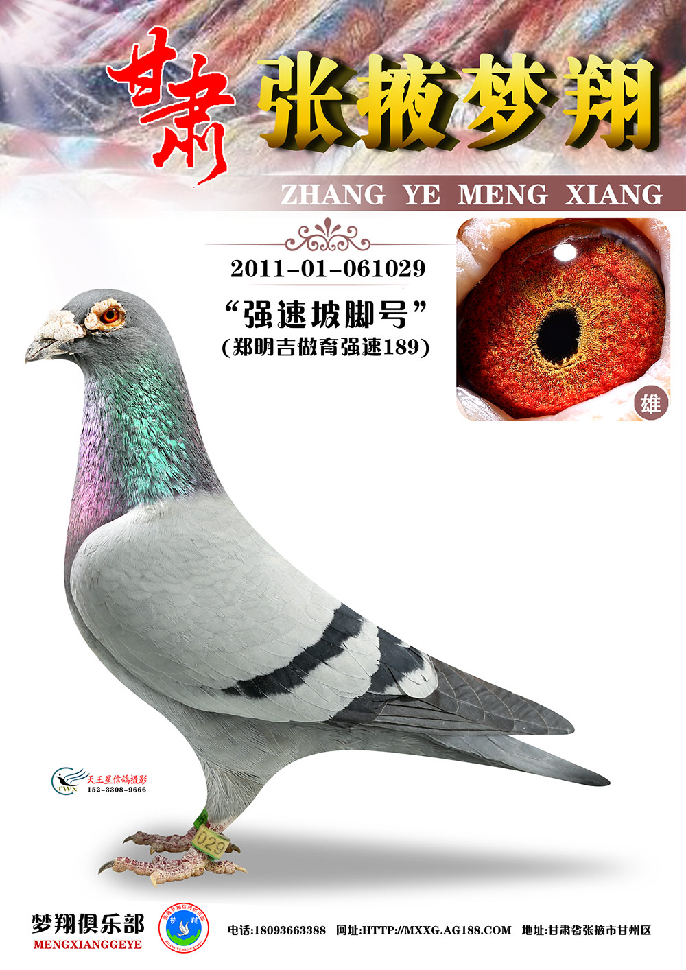 (qing)189Ĵ