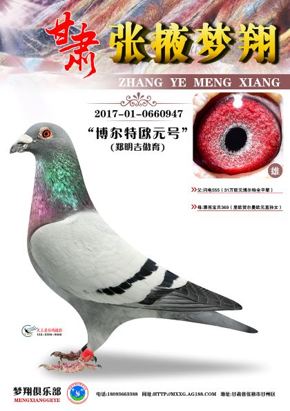 ؚWԪ̖
