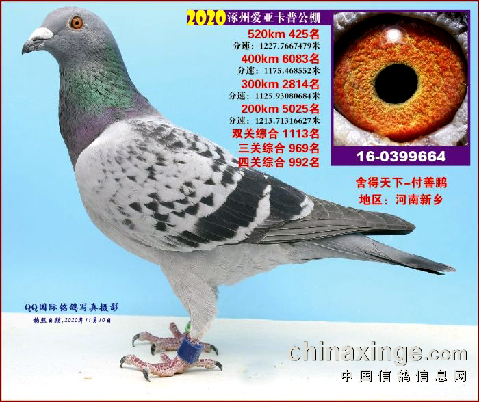 2020ݐ(i)՛Qِ425