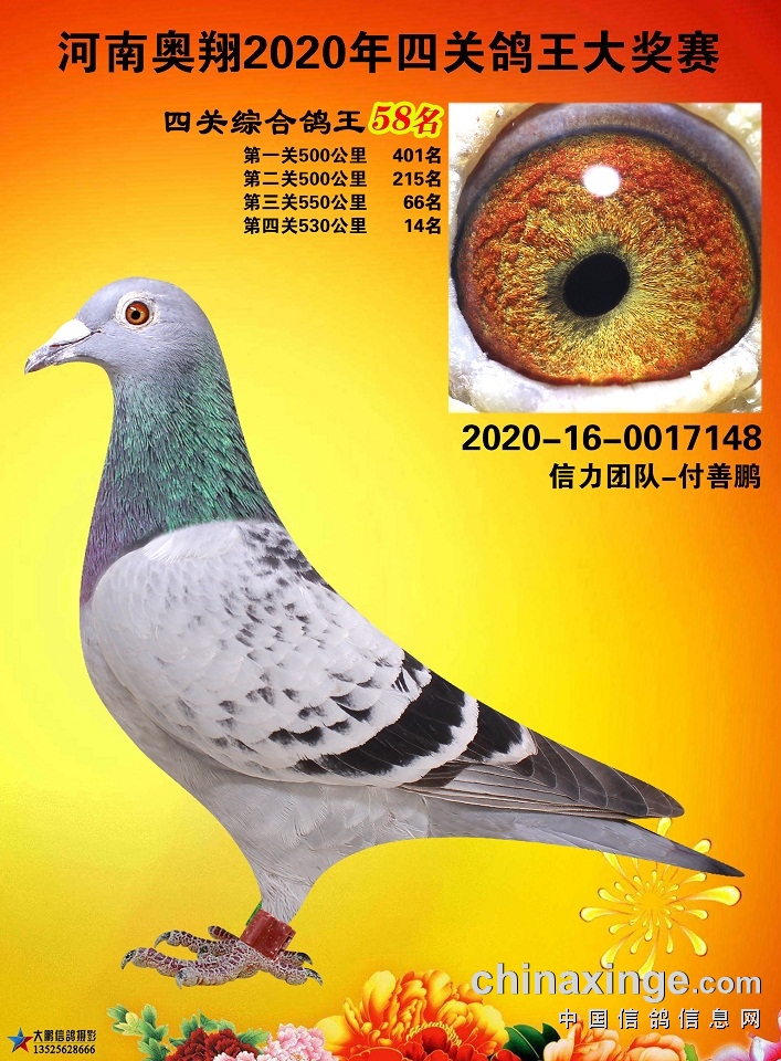 2020ϊWB(yng)P58