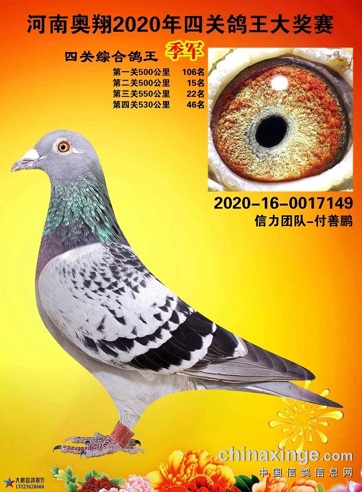 2020ϊWB(yng)P(gun)܊