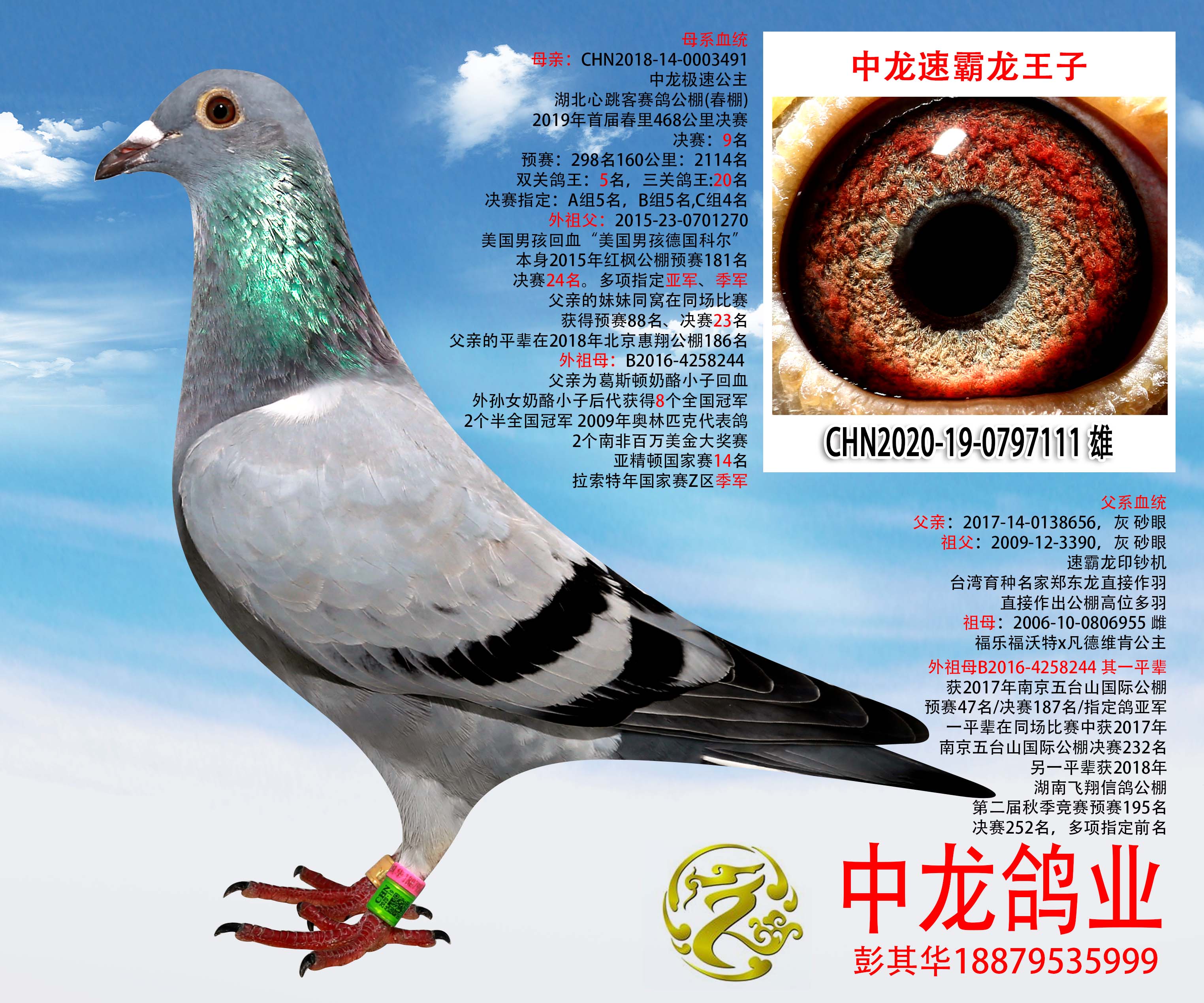中龙速霸龙王子已售出