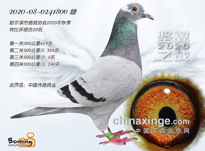 IЕ20