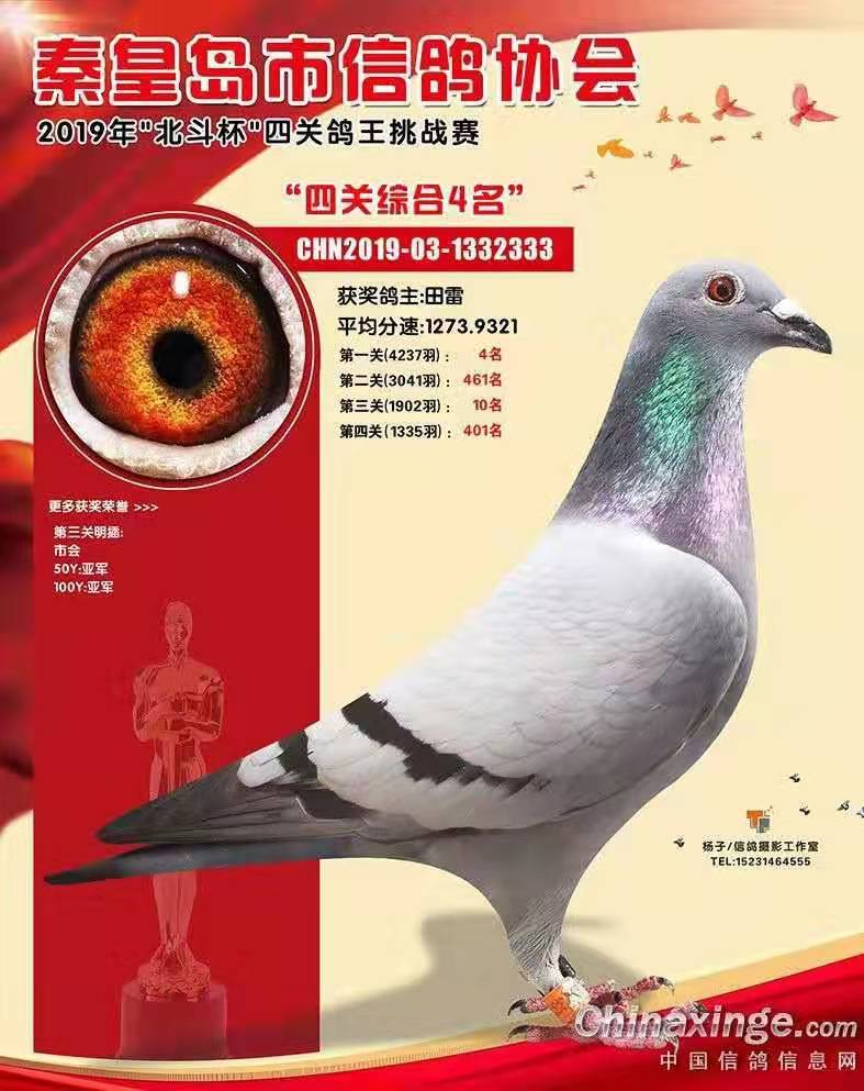 ػʍu4