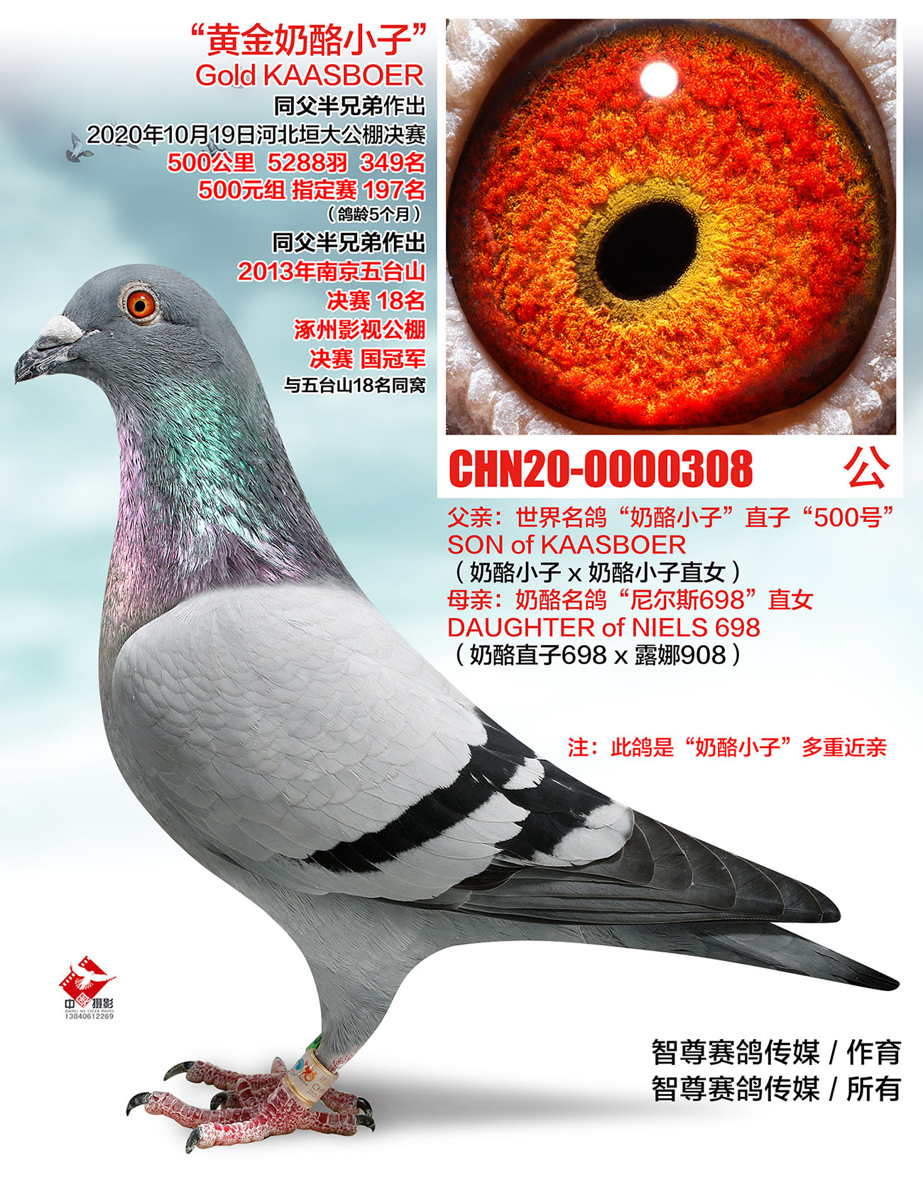500̖(ho)ֱ