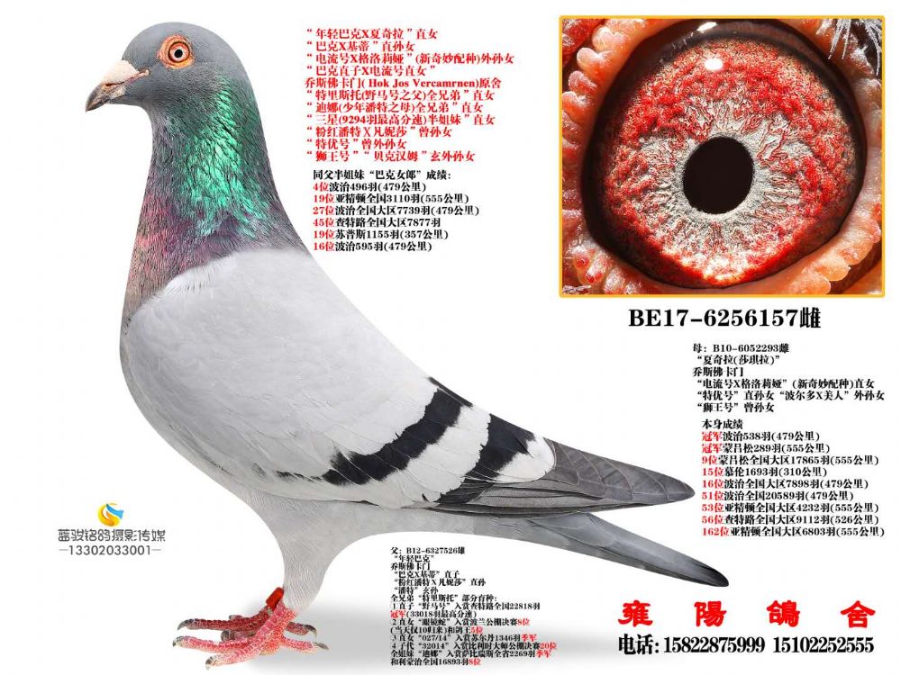 ˹T ֱŮ