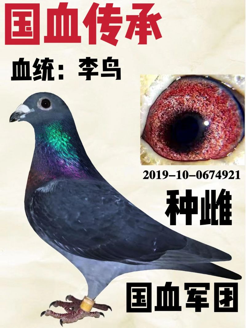 �����ִ�