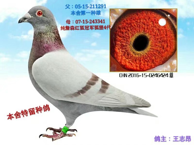 һֱӣ