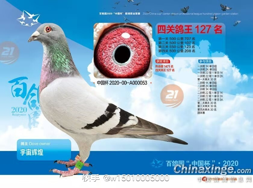 �����@�ɿ���