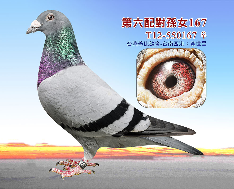 wS䌦(du)OŮ