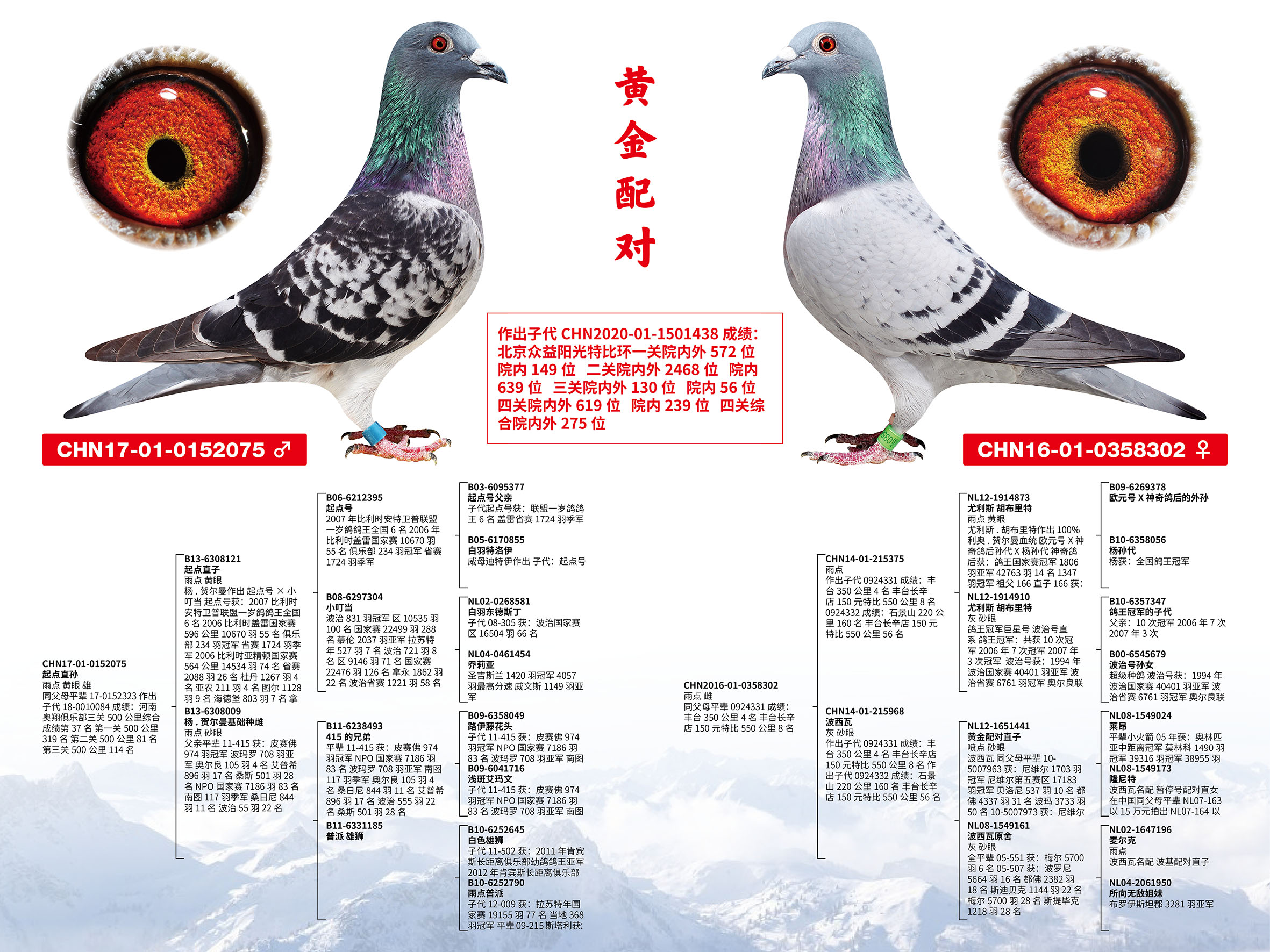2021걱̩ηN䌦78
