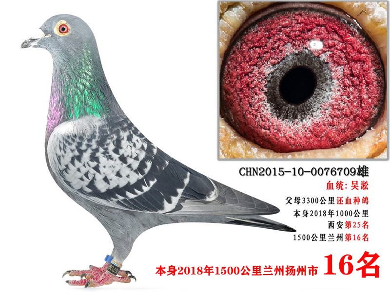 150016