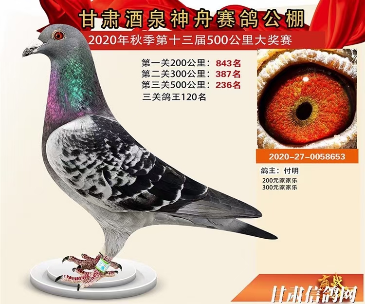 ݹ236