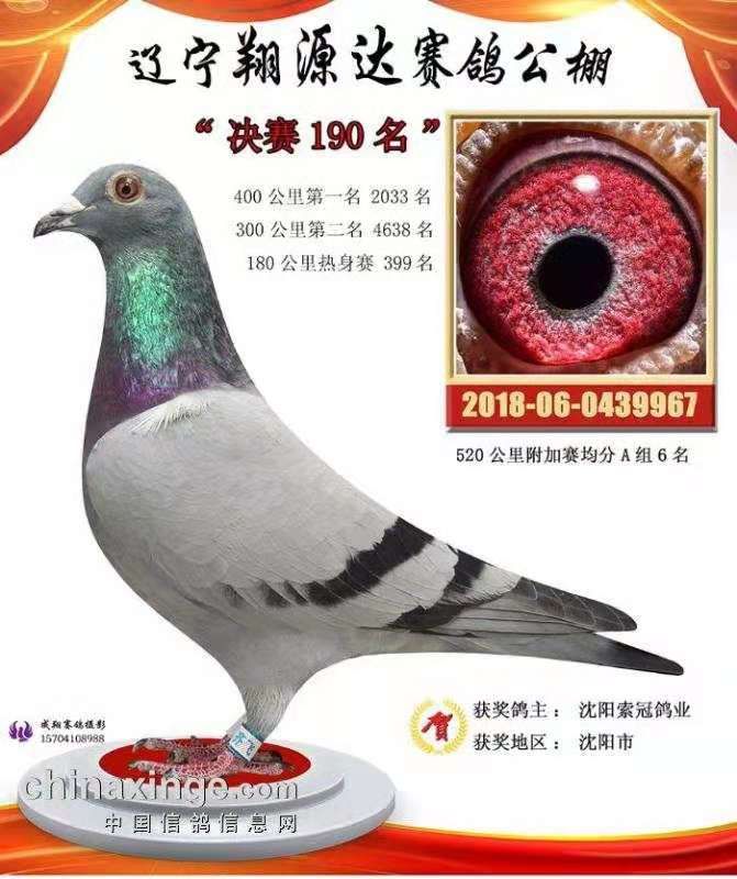 翔源达公棚190名_沈阳索冠鸽业_ ag188.com爱鸽商城