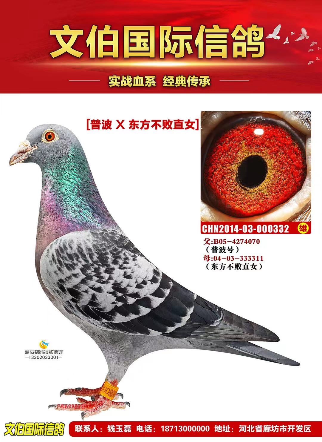 “東方不敗” 文伯珍藏“32號(hào)”