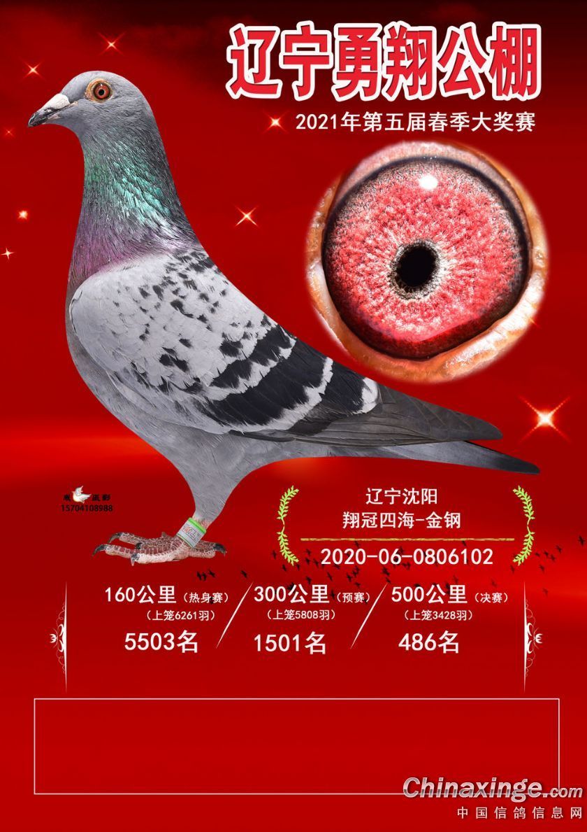 |蹫Qِ486