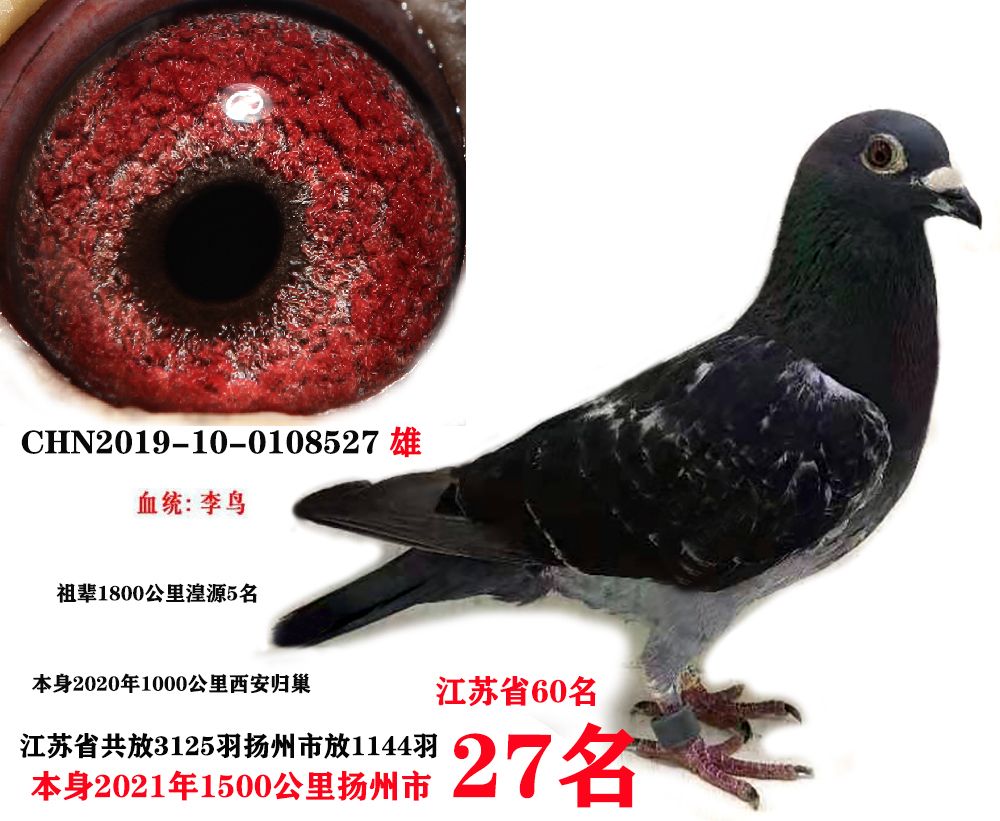 m27uƷ