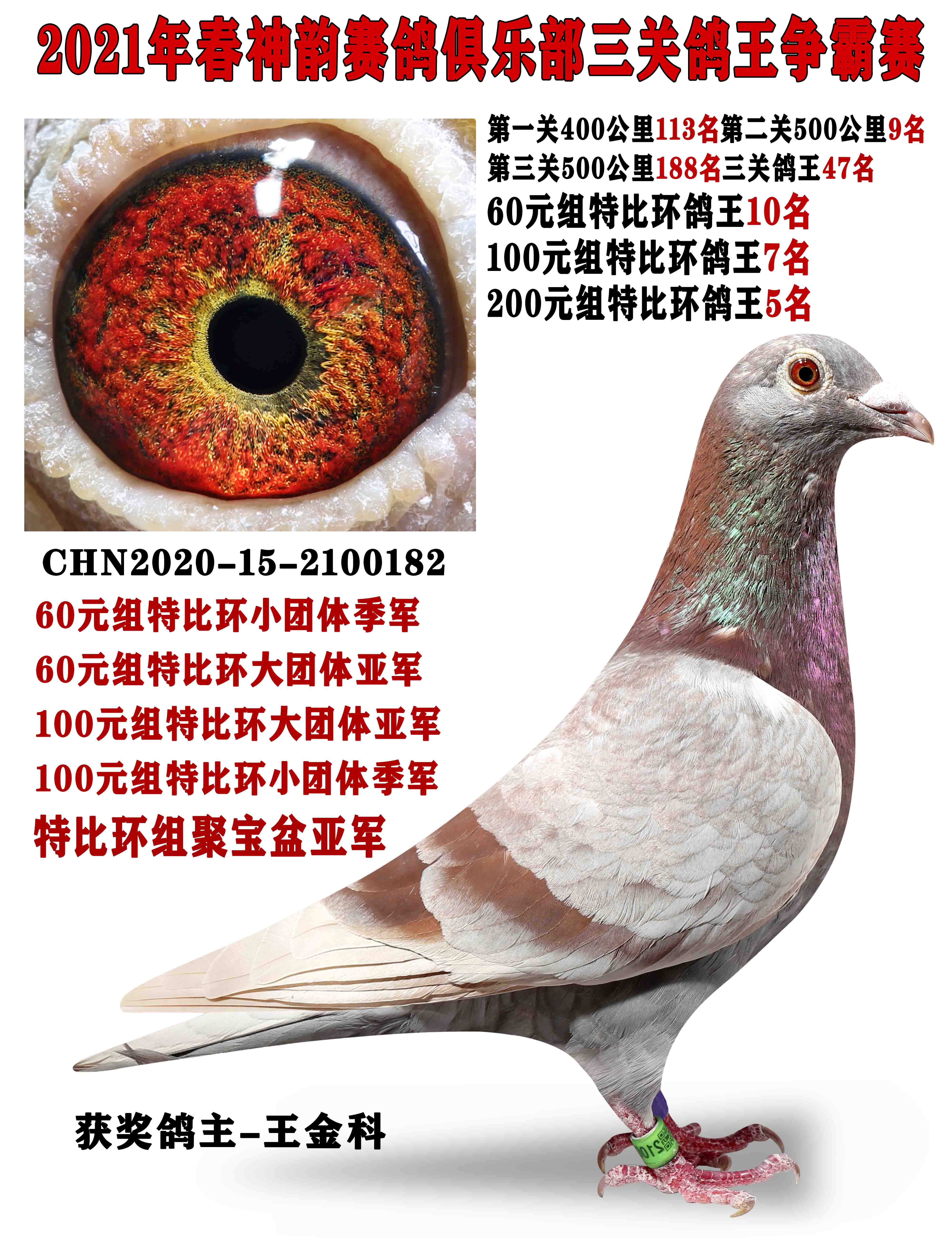 21퍾㘷(l)رȭh(hun)@(jing)