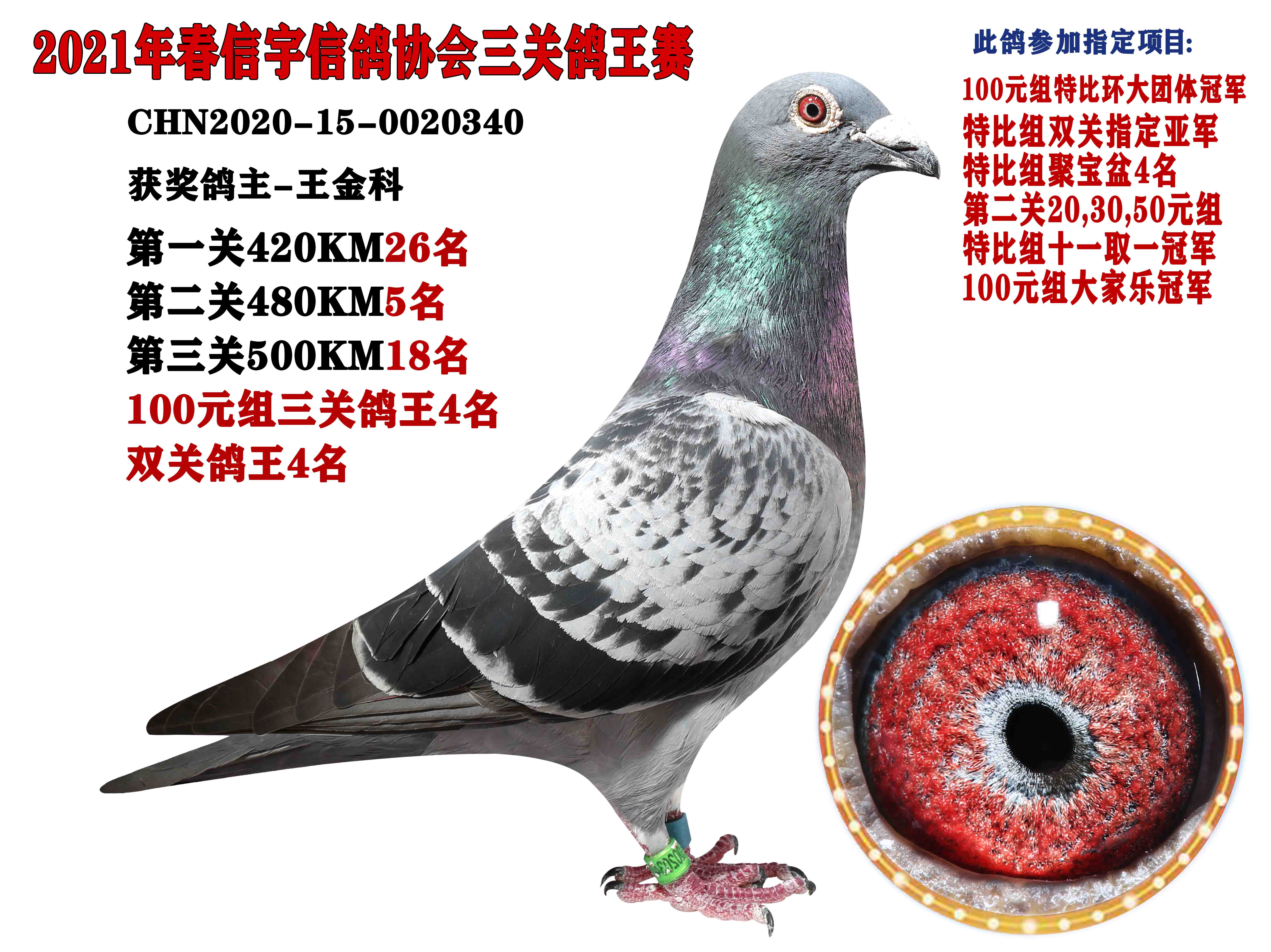 21(hu)@(jing)۳