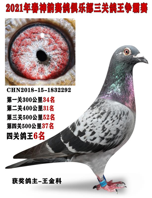 21퍾㘷P(gun)Cλ