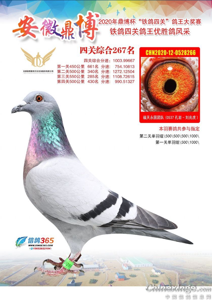 ˱Ĺظ267λ