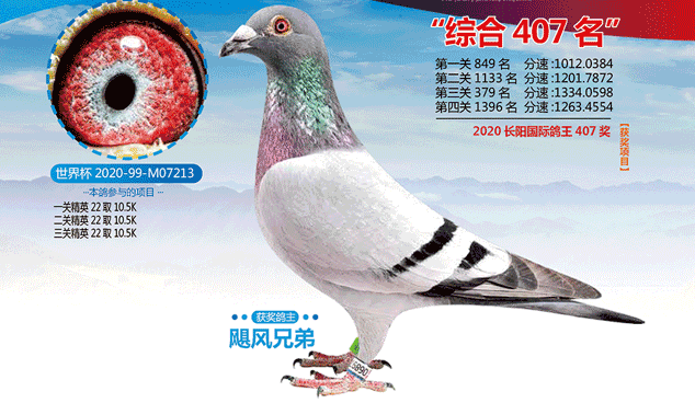 2020ꡰ籭 վ Ĺ407