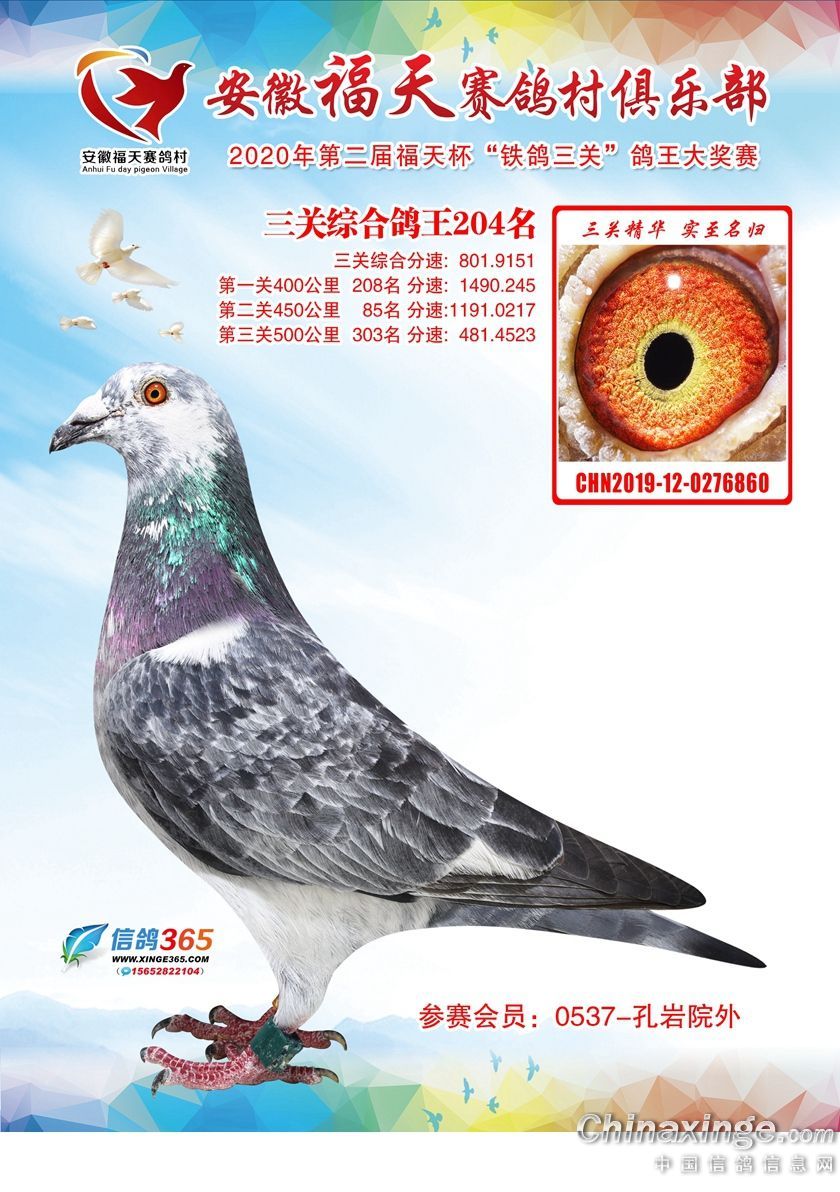 ʮŶӸ204λ