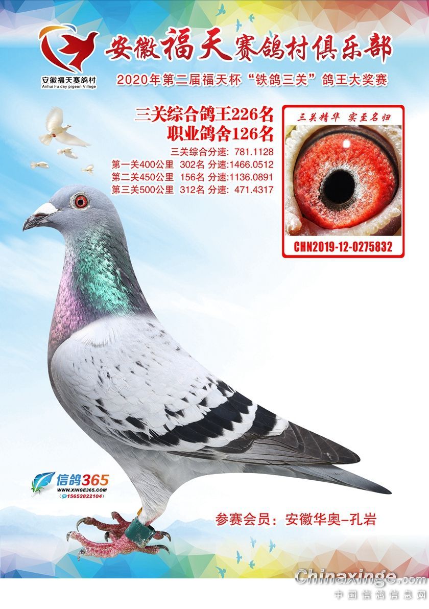ʮŶӸ126λ