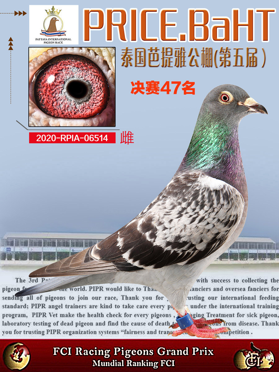 ̩(gu)śQِ47