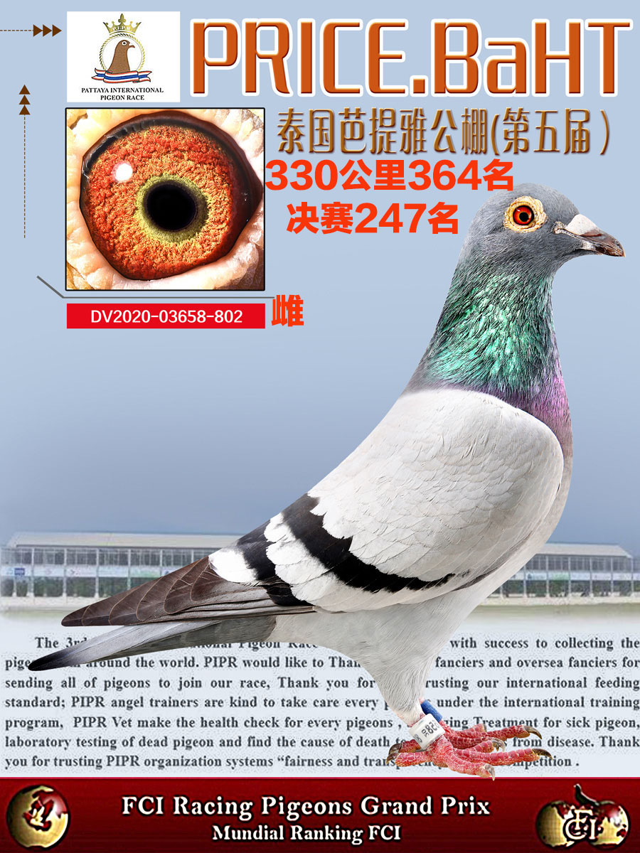 ̩(gu)śQِ247