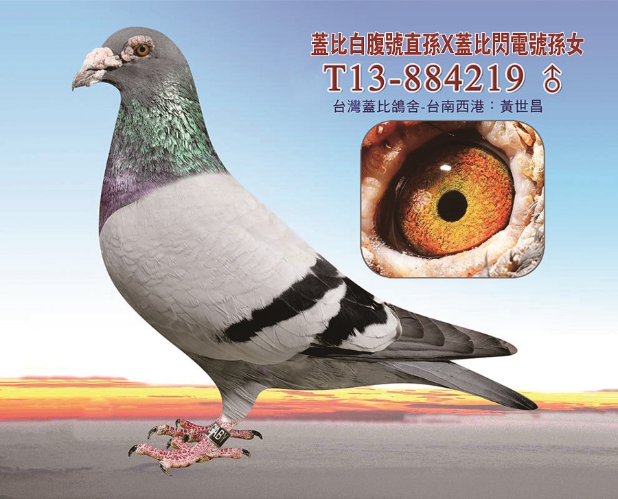 wȰ׸OXwW늌OŮ