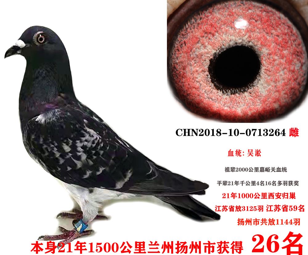 蘭州26名5
