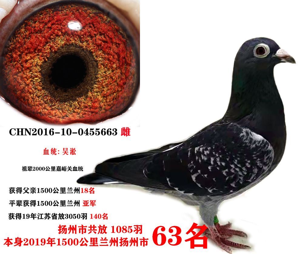 m63