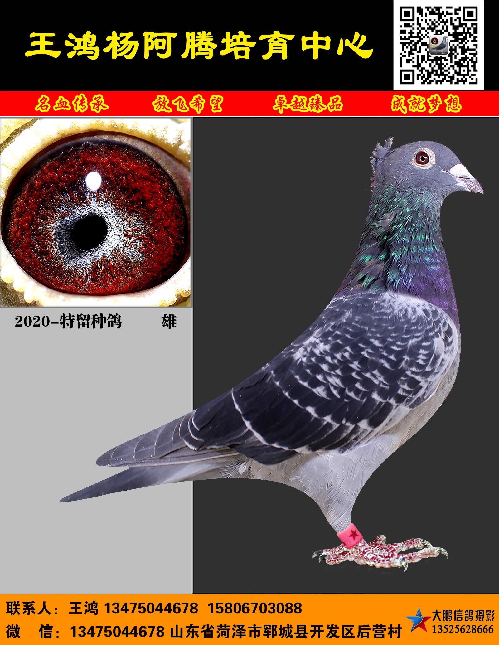 Bӡ؏(qing)ǡ\ë .