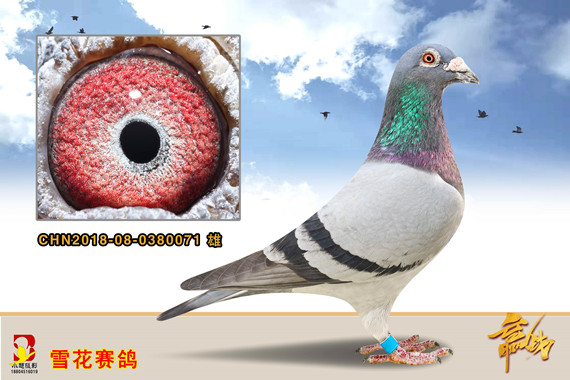 797ֱ