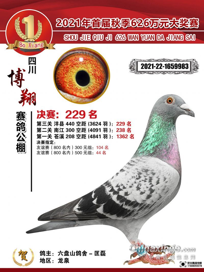 Ĵ蹫Qِ 229