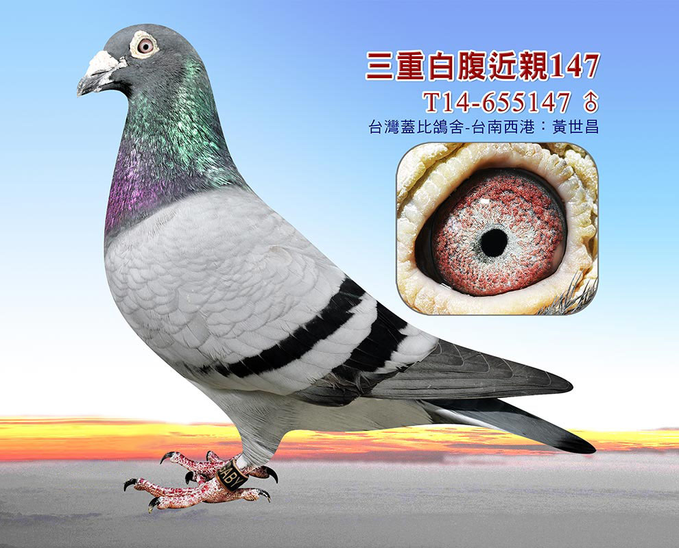 wذ׸H