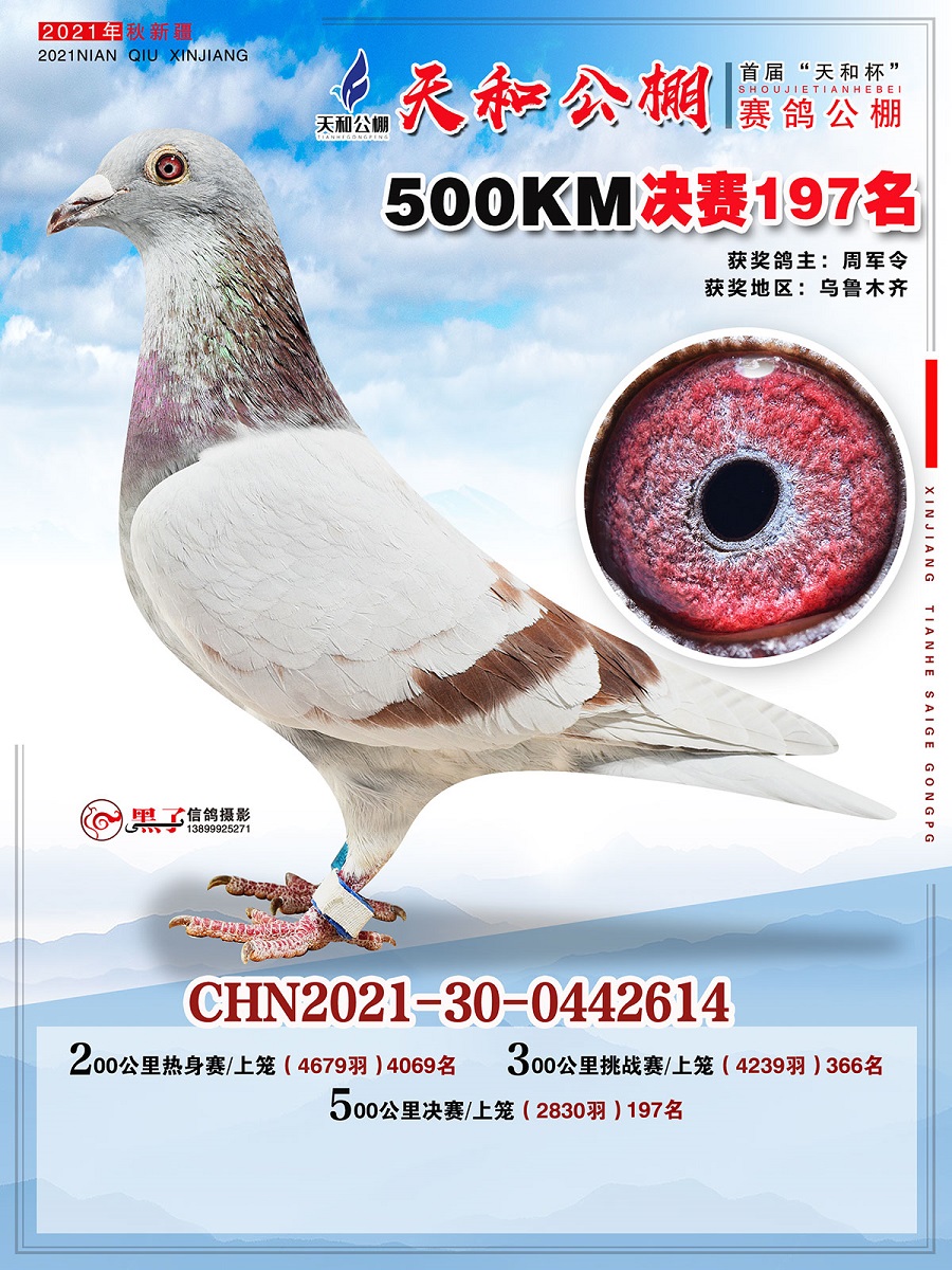 21½͹500YQِ197