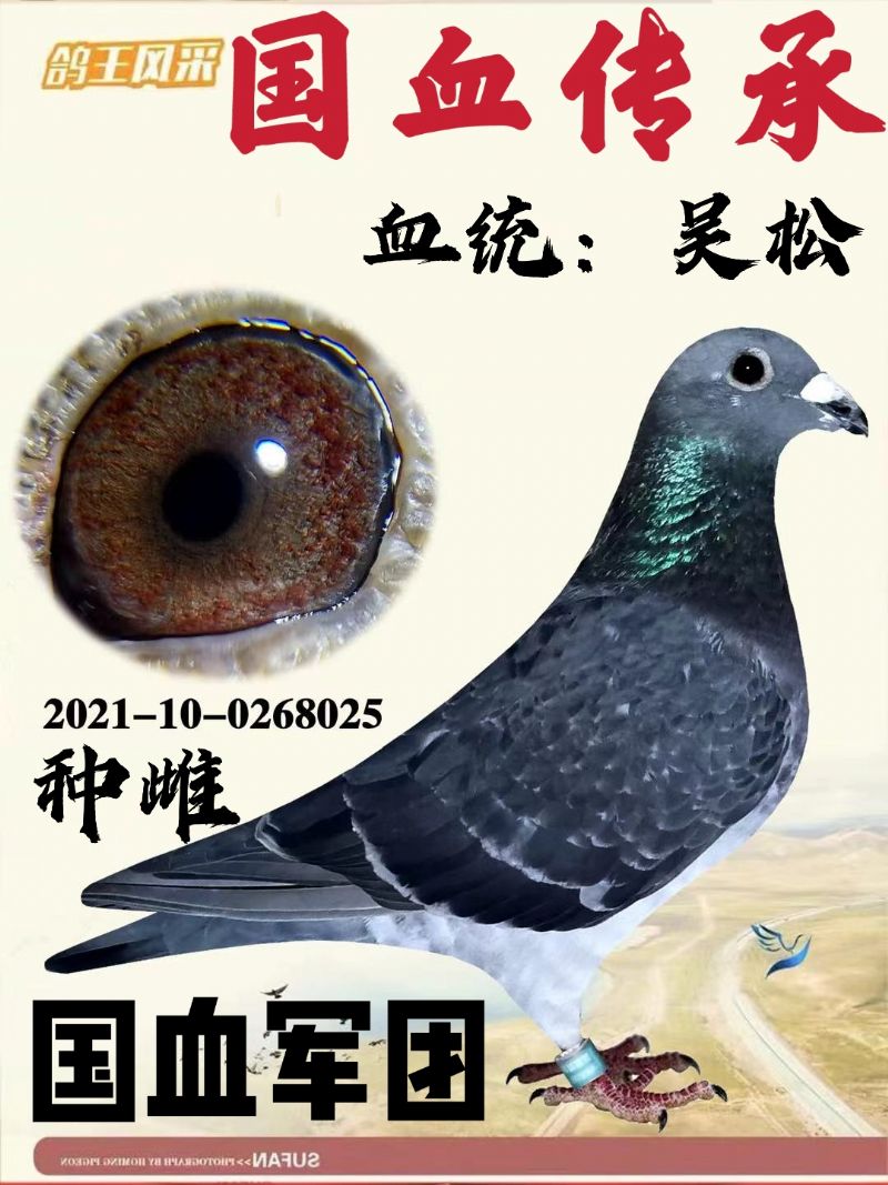 4̖䌦