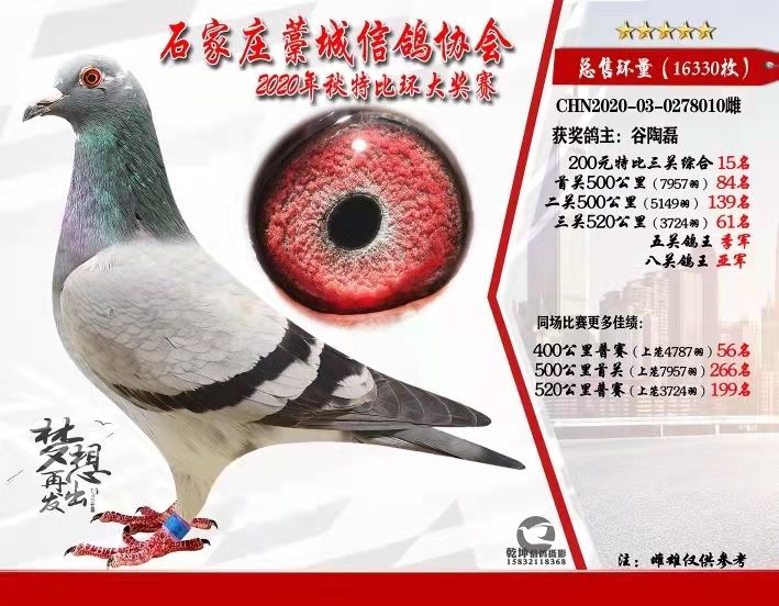 ӱ޻f(xi)(hu)2020P(gun)܊
