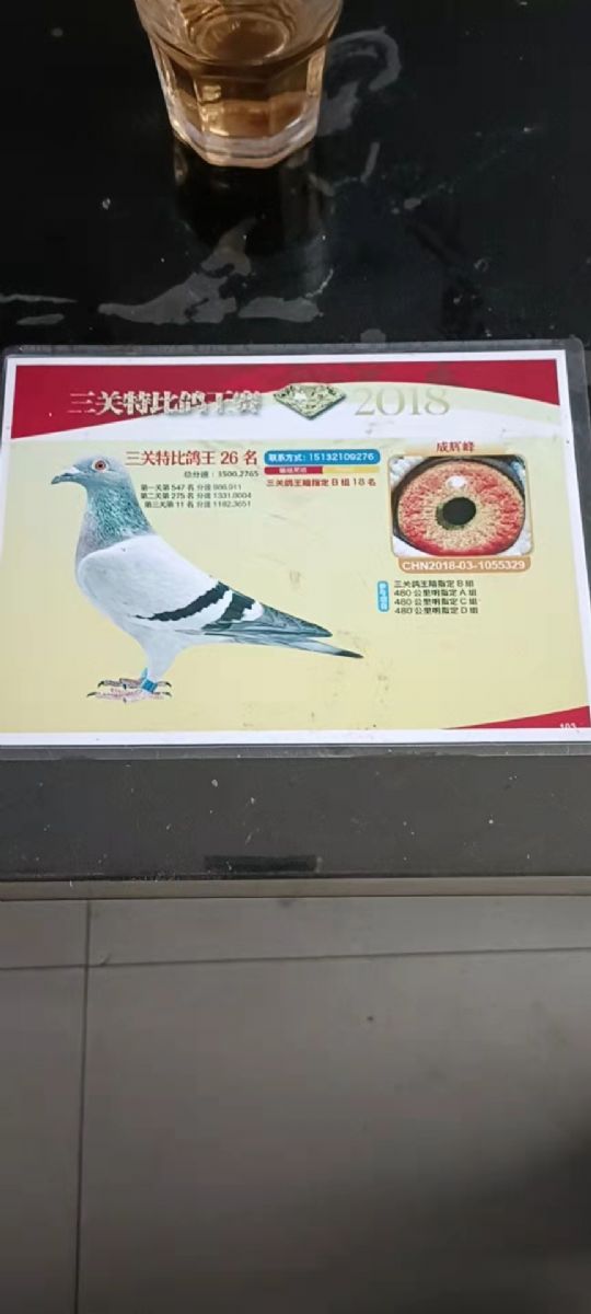 26