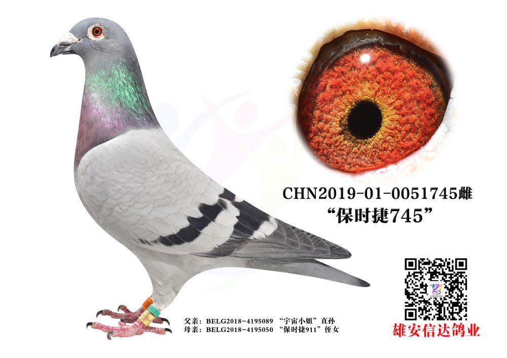 r(sh)745