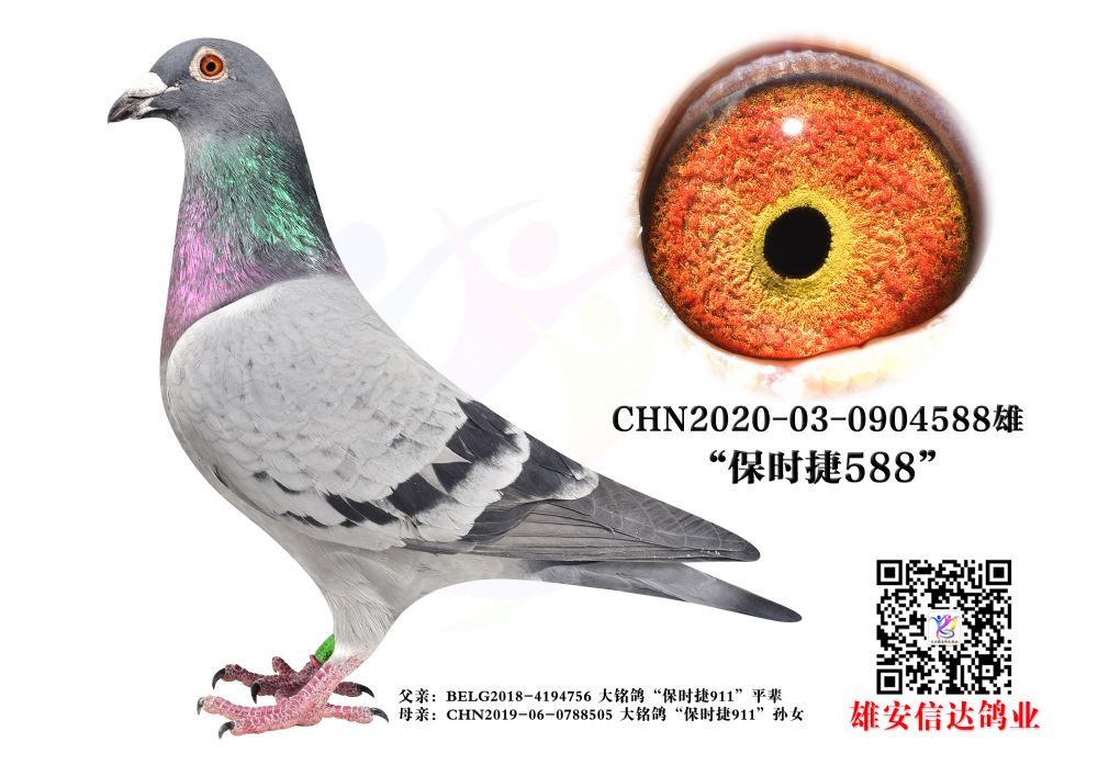 r(sh)588