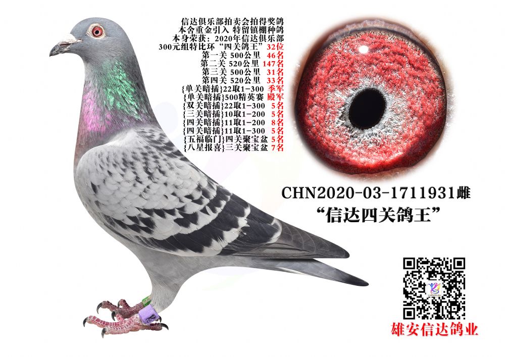 _P32λ