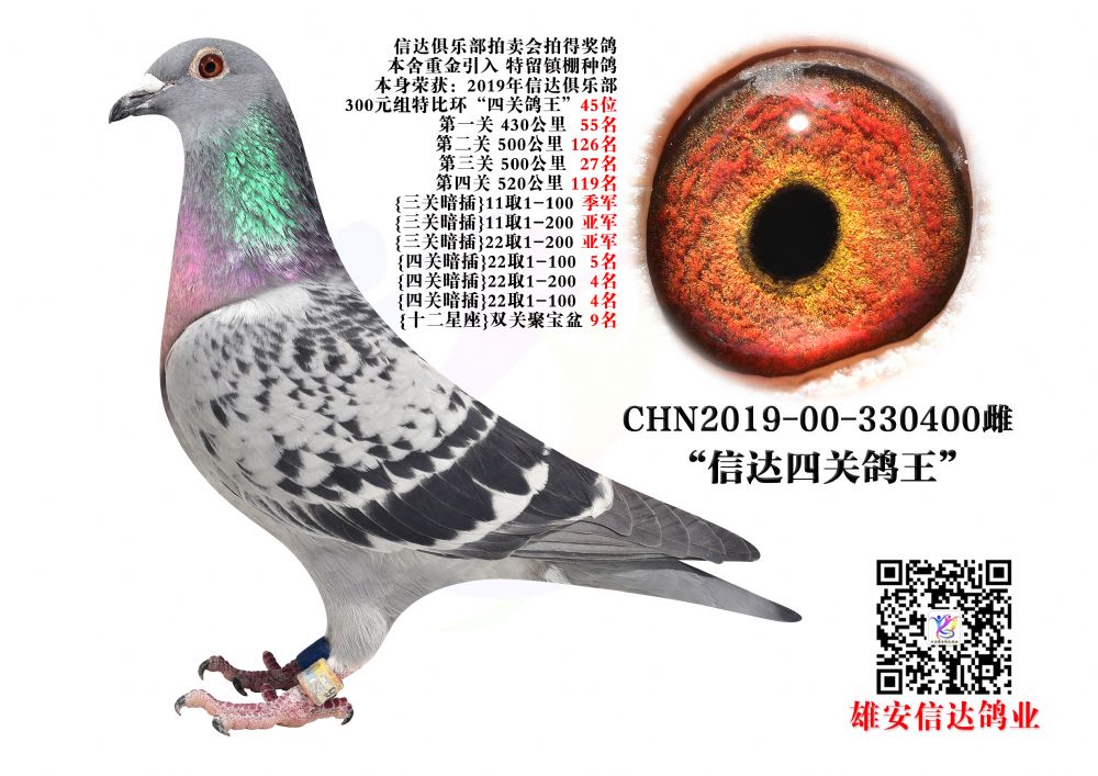 _(d)P(gun)45λ