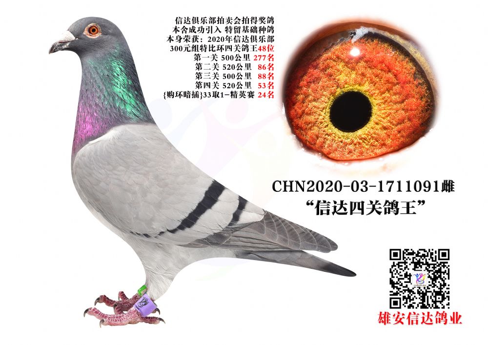 _(d)P(gun)48λ