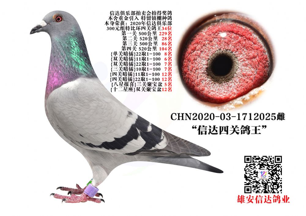 _(d)P(gun)34λ