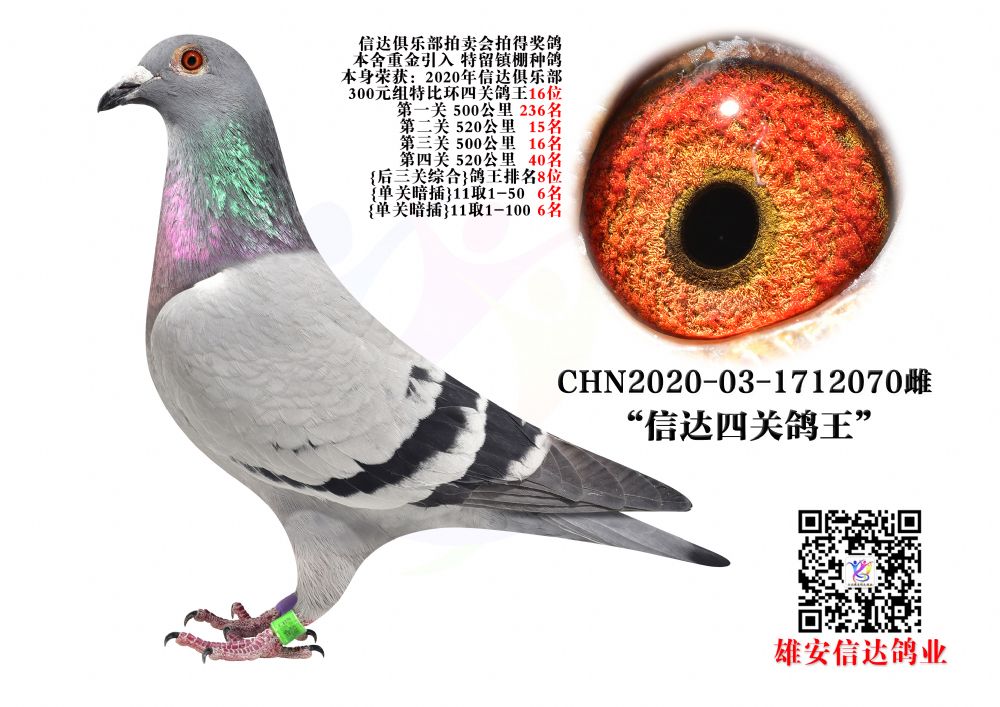 _(d)P(gun)16λ