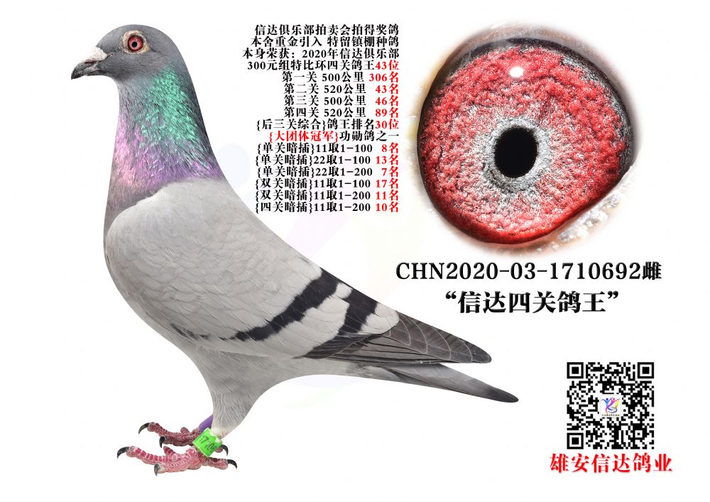 _(d)P(gun)43λ